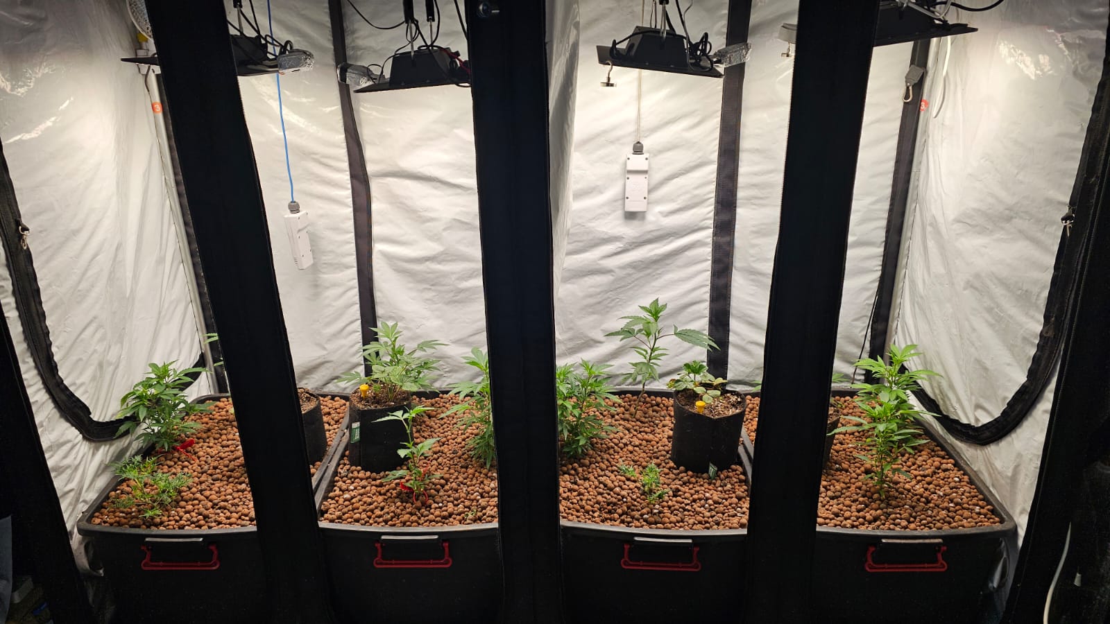 Trial Setup