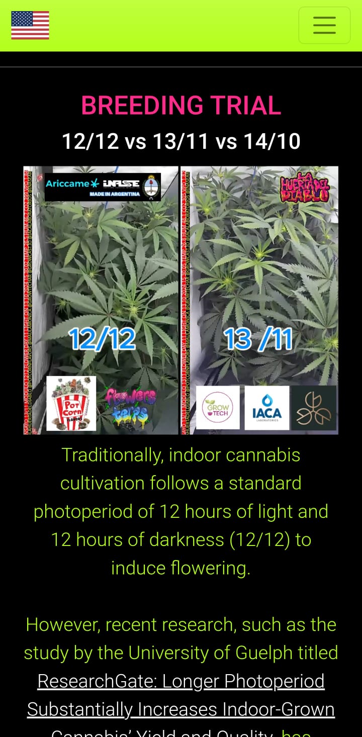 12/12 vs 13/11