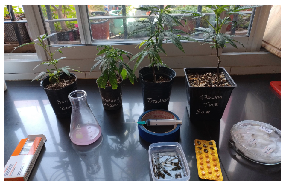 Plant Material