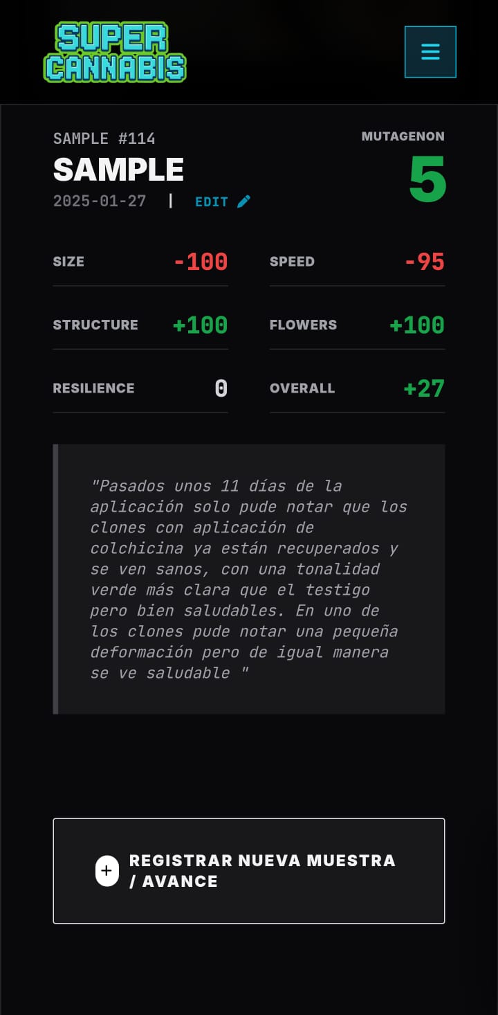 Report Example 1