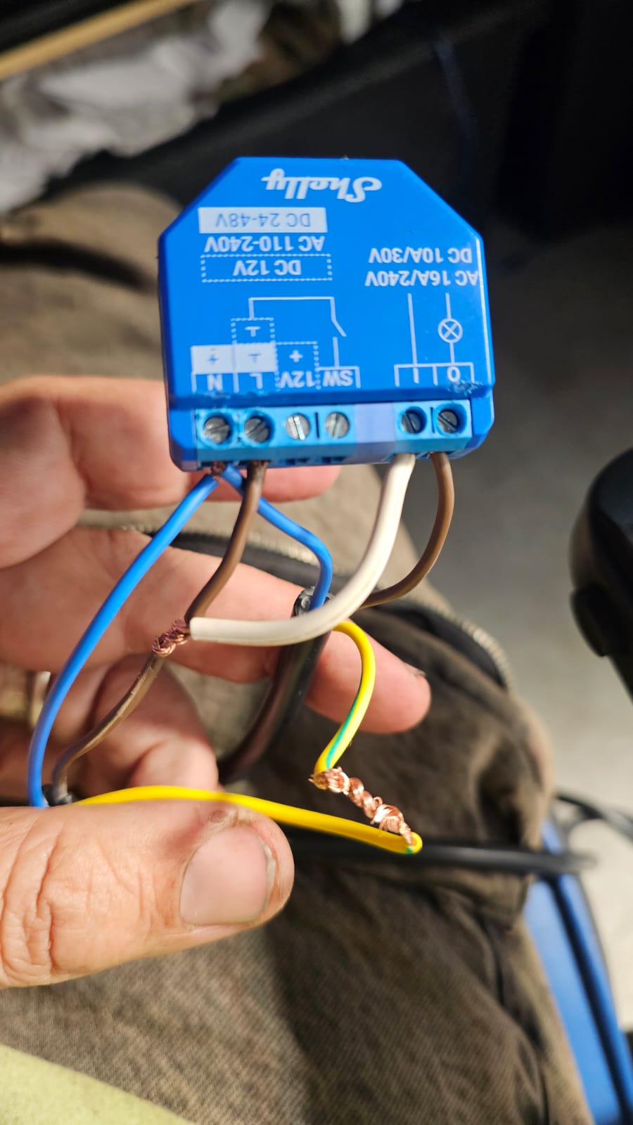 Shelly Cycler